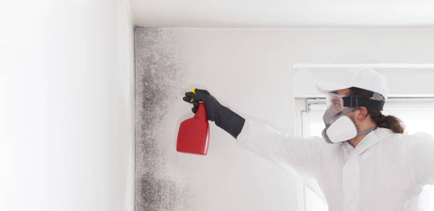 Best Crawl Space Mold Removal  in Rutledge, TN